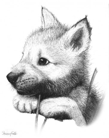 Wolf_Pup_V1_by_iduck