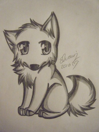 wolf_drawing_4_by_animefan1863-d32keca